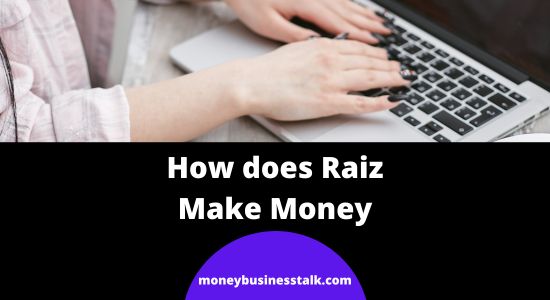 How does Raiz Make Money