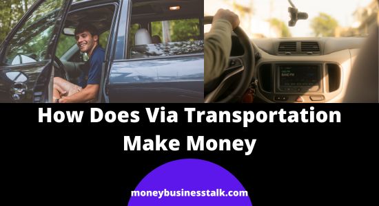 How Does Via Transportation Make Money? (Business Model Explained)