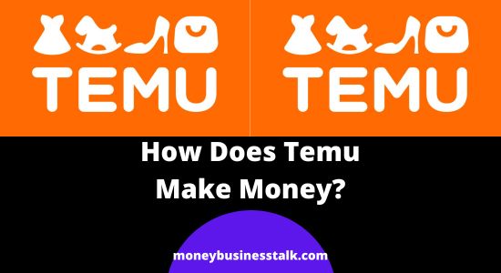 How Does Temu Make Money? (The Business Model)